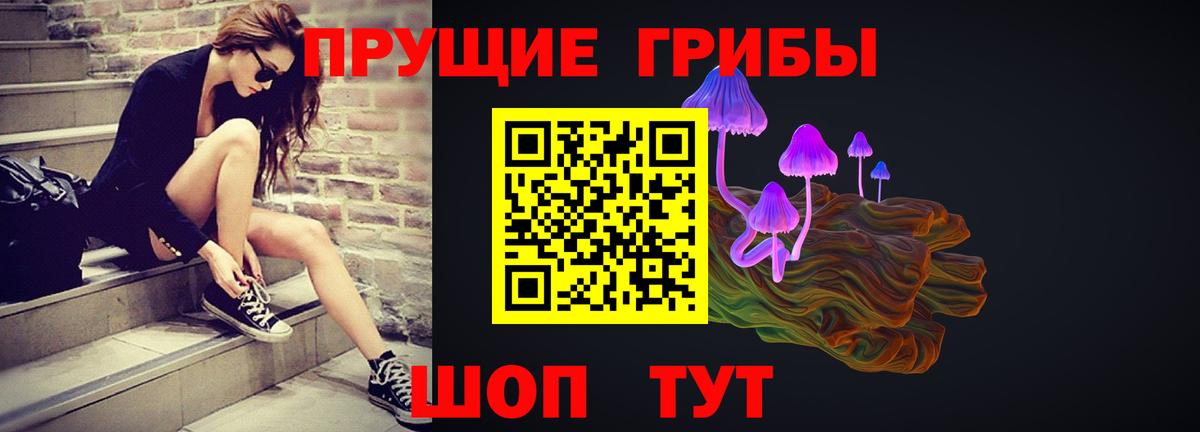 Галлюциногенные грибы Psilocybe Саратов